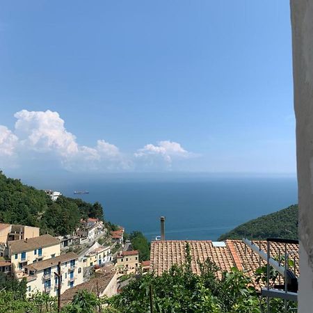 Pippo'S House Vila Vietri Exterior foto