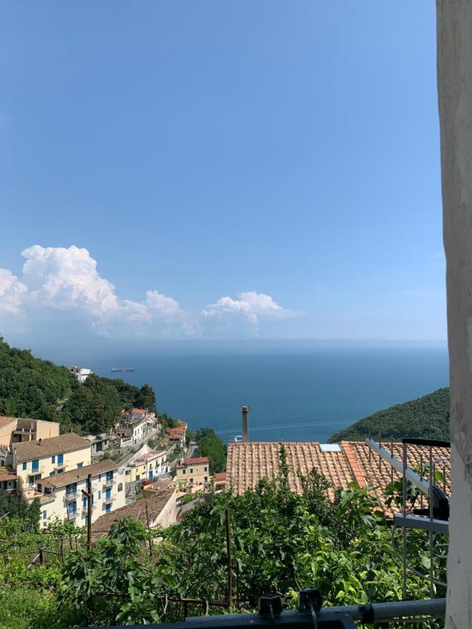 Pippo'S House Vila Vietri Exterior foto